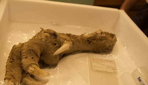 不敢公然?清点世界上十大最神奇的考古创造