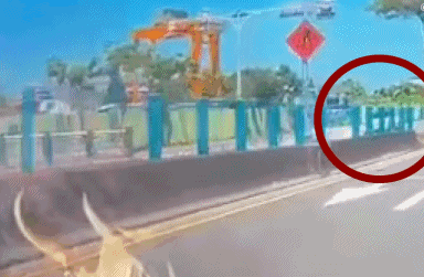 林志颖车祸后最新情况(本命年出车祸)(40)