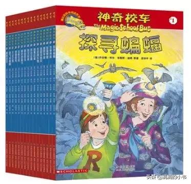 神奇校车桥梁版和图画书版的区别(图画动画版桥梁)(26)