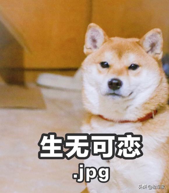 玛莎拉蒂车主花2600万摆平事件（玛莎拉蒂女车主开价80万）(28)