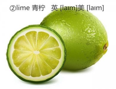 ​lime是什么意思（lime的意思）