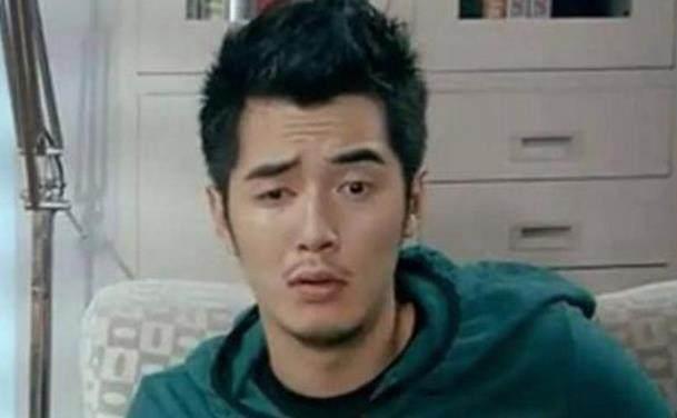 为什么爱情公寓陈赫这么火（盘点爱情公寓9大主角谁的收入最高）(2)