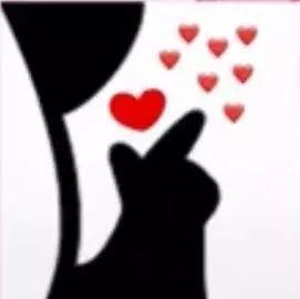 为什么鸵鸟躲藏都是把头埋进沙子(别再冤枉鸵鸟把头埋在沙子里了)(1)