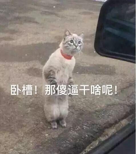 为什么鸵鸟躲藏都是把头埋进沙子(别再冤枉鸵鸟把头埋在沙子里了)(3)