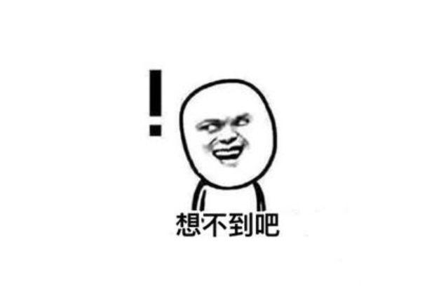 车标换了会有什么变化（扣掉车标和某些标志）(22)