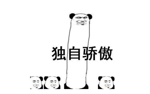 车标换了会有什么变化（扣掉车标和某些标志）(18)