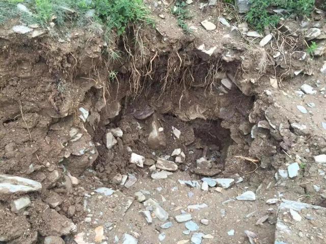 英国大卡车藏尸案（检察官的车中弹了）(3)