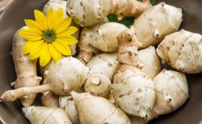 什么是洋姜(洋姜简介)