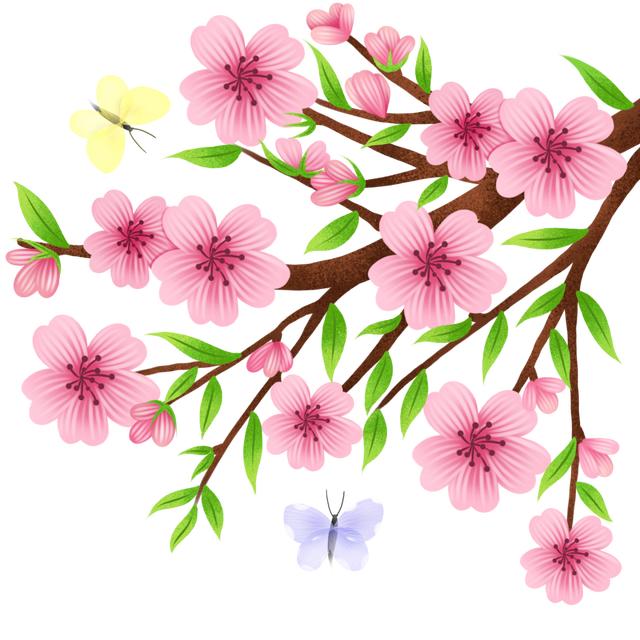 50km桃花坞取景地哪里(五十公里桃花坞为什么在这个村拍摄)(5)