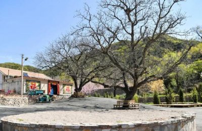 ​50km桃花坞取景地哪里（五十公里桃花坞为什么在这个村拍摄）