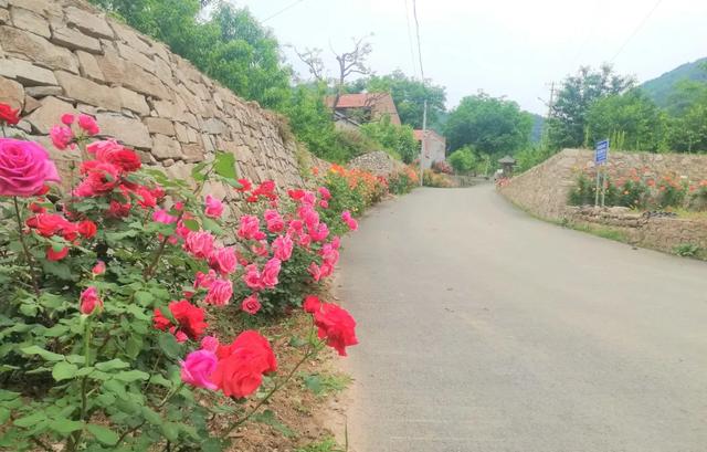 50km桃花坞取景地哪里(五十公里桃花坞为什么在这个村拍摄)(2)