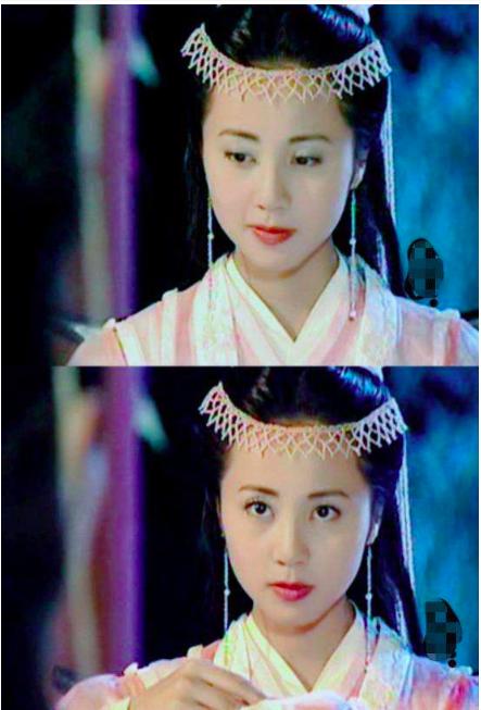 孙莉个人资料和家庭背景（孙莉是一个被婚姻）(6)