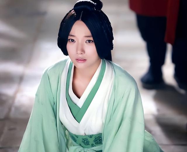 卫子夫为什么是十大贤后(大汉贤后卫子夫)(7)