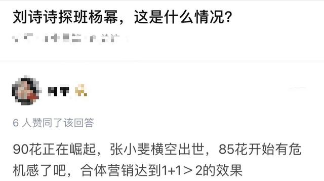 杨幂刘诗诗美到什么程度(年轻时那些扯头花的事)(27)