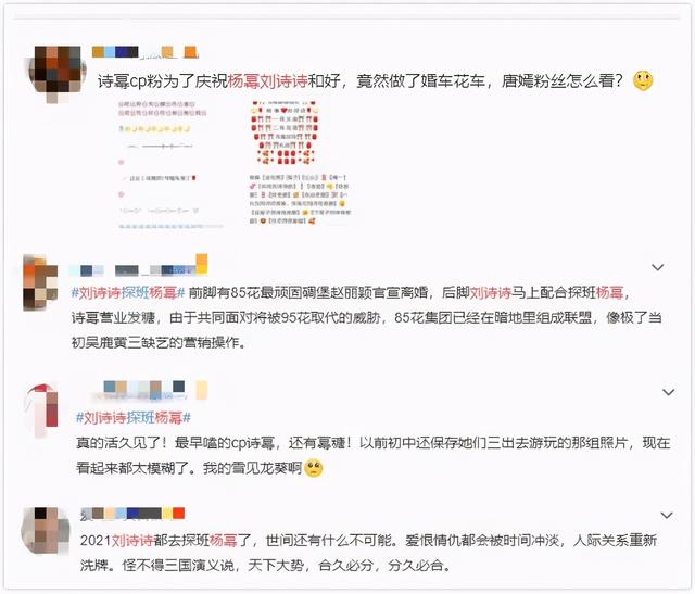 杨幂刘诗诗美到什么程度(年轻时那些扯头花的事)(4)