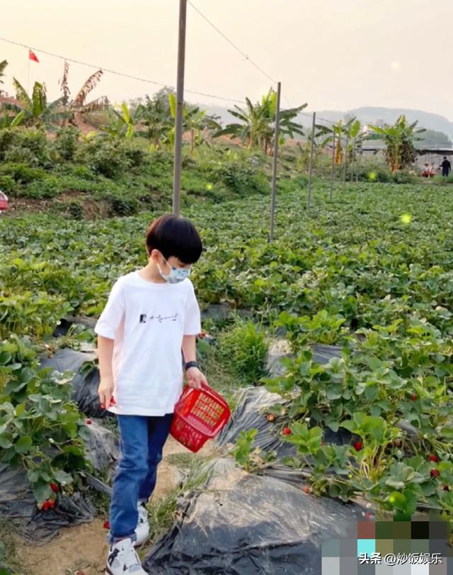 姚笛官宣结婚是哪一天(42岁知名男星官宣得子)(10)