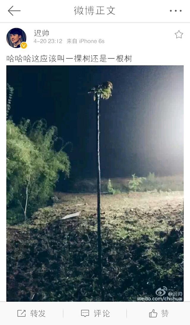 姚笛与富商男友约会 他曾主持小神龙俱乐部(13)