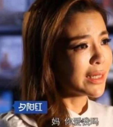 朱迅个人资料(主持人朱迅哽咽痛哭)(6)