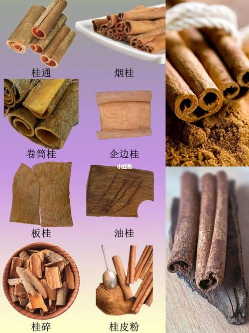 桂皮是什么（桂皮的介绍）