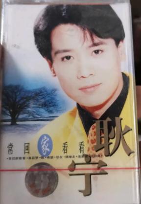 常回家看看陈红年轻时的盛世容颜(掏空丈夫12亿财产)(16)