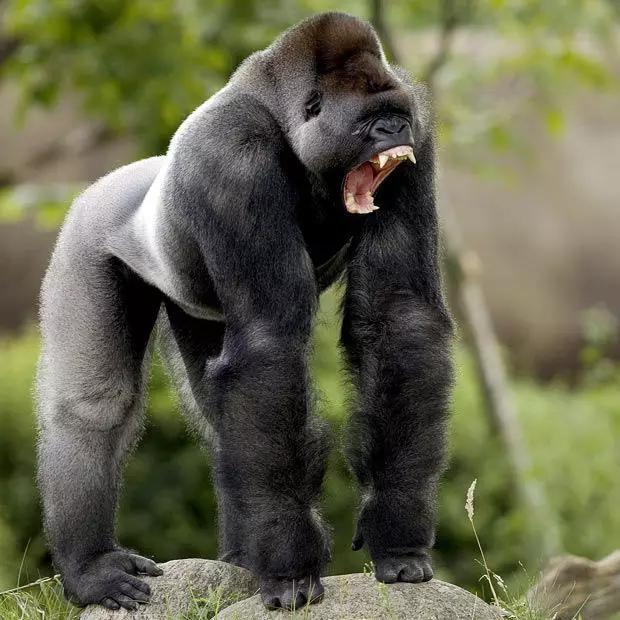 发生地震前都会有哪些征兆(这才是地震前的征兆)(13)