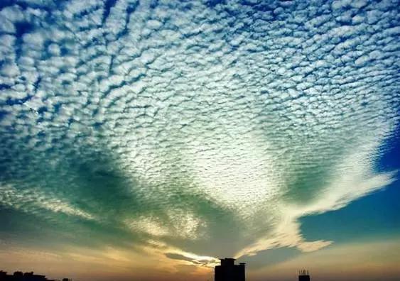 发生地震前都会有哪些征兆(这才是地震前的征兆)(5)