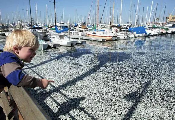 发生地震前都会有哪些征兆(这才是地震前的征兆)(7)