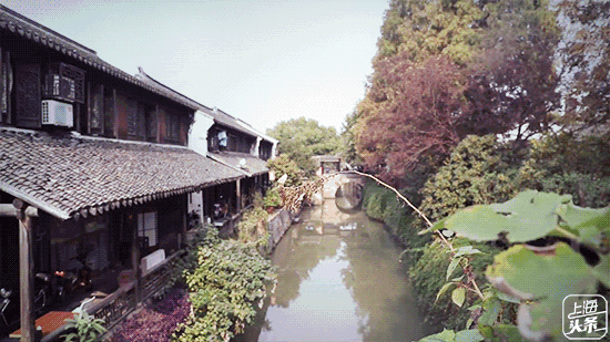 上海一日游最佳景点自由行(上海适合一日游的100个景点)(20)
