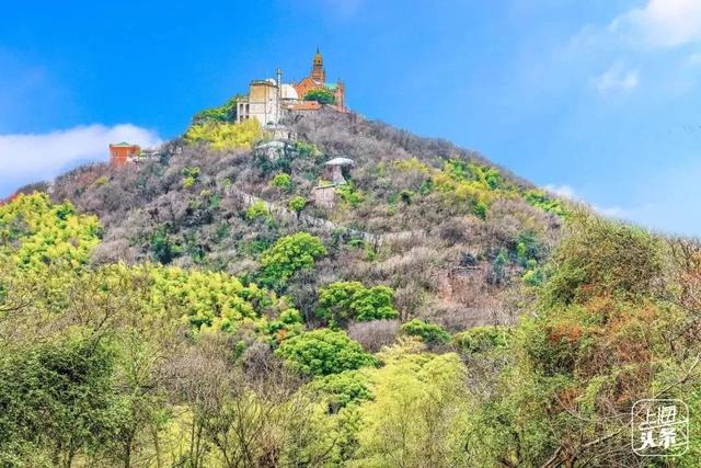 上海一日游最佳景点自由行(上海适合一日游的100个景点)(90)