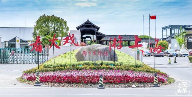 上海一日游最佳景点自由行(上海适合一日游的100个景点)(102)