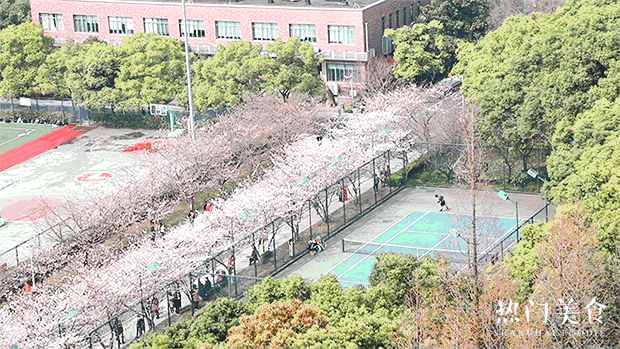 上海一日游最佳景点自由行(上海适合一日游的100个景点)(121)
