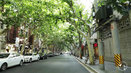 上海一日游最佳景点自由行(上海适合一日游的100个景点)(51)