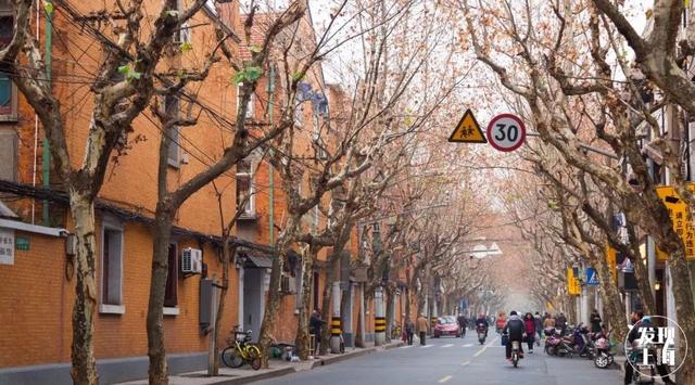 上海一日游最佳景点自由行(上海适合一日游的100个景点)(57)