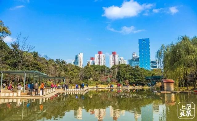 上海一日游最佳景点自由行(上海适合一日游的100个景点)(93)