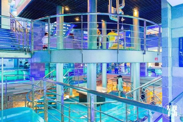 上海一日游最佳景点自由行(上海适合一日游的100个景点)(32)