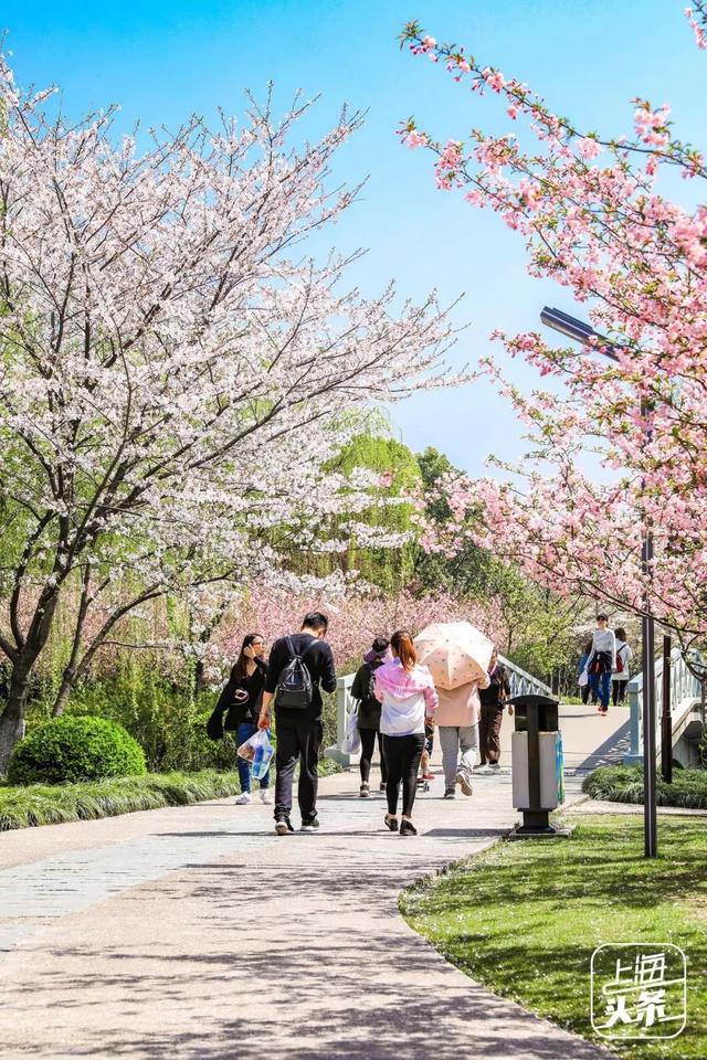 上海一日游最佳景点自由行(上海适合一日游的100个景点)(85)