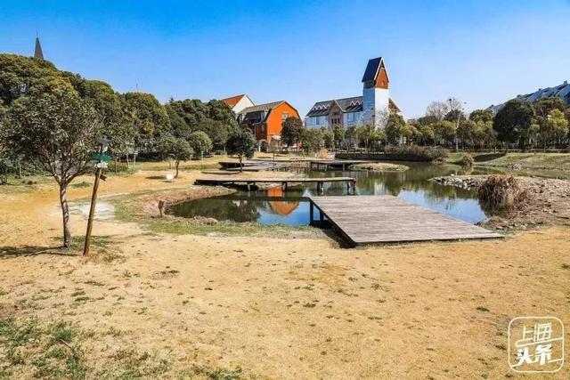 上海一日游最佳景点自由行(上海适合一日游的100个景点)(36)