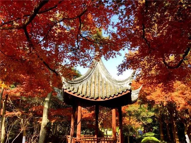 上海一日游最佳景点自由行(上海适合一日游的100个景点)(80)