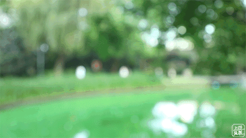 上海一日游最佳景点自由行(上海适合一日游的100个景点)(78)