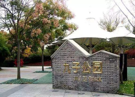 上海一日游最佳景点自由行(上海适合一日游的100个景点)(86)