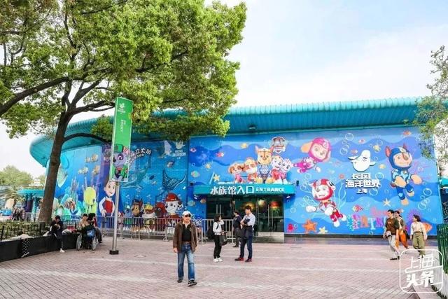 上海一日游最佳景点自由行(上海适合一日游的100个景点)(96)