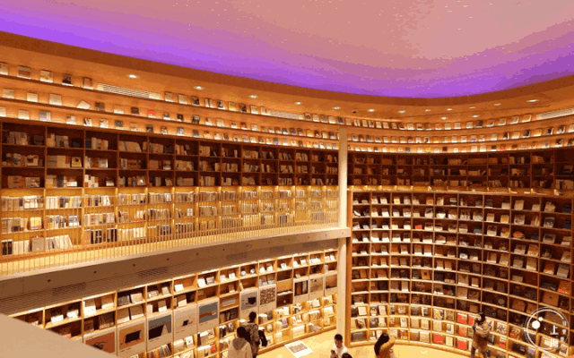 上海一日游最佳景点自由行(上海适合一日游的100个景点)(106)