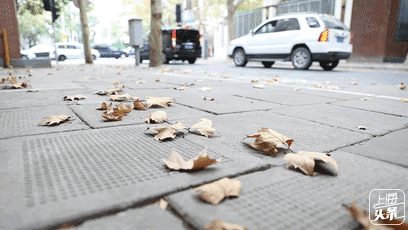 上海一日游最佳景点自由行(上海适合一日游的100个景点)(44)