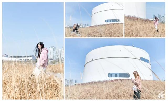 上海一日游最佳景点自由行(上海适合一日游的100个景点)(40)