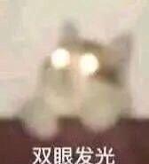 许绍洋和前女友（还记得海豚湾恋人的许绍洋吗）(6)