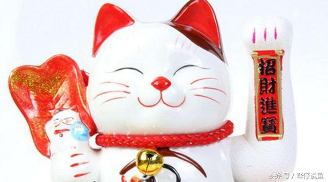 养招财猫鱼技巧（三分钟教你认识鱼缸中的无敌吃货）(5)