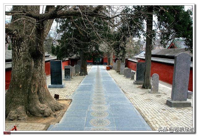 禅宗少林寺（禅宗祖庭）(3)