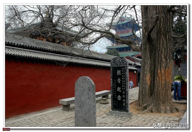 禅宗少林寺（禅宗祖庭）(15)