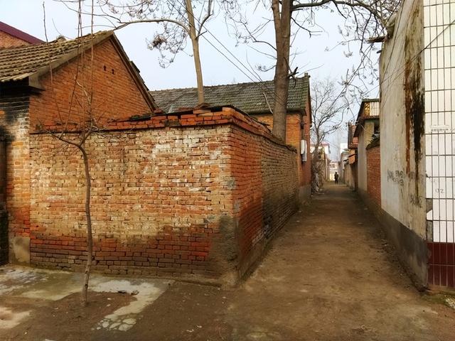 四大金刚砸车(手持U型锁猛砸日系车并重伤车主的青年蔡洋)(2)