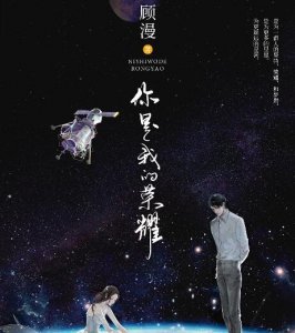 ​你是我的荣耀讲的什么